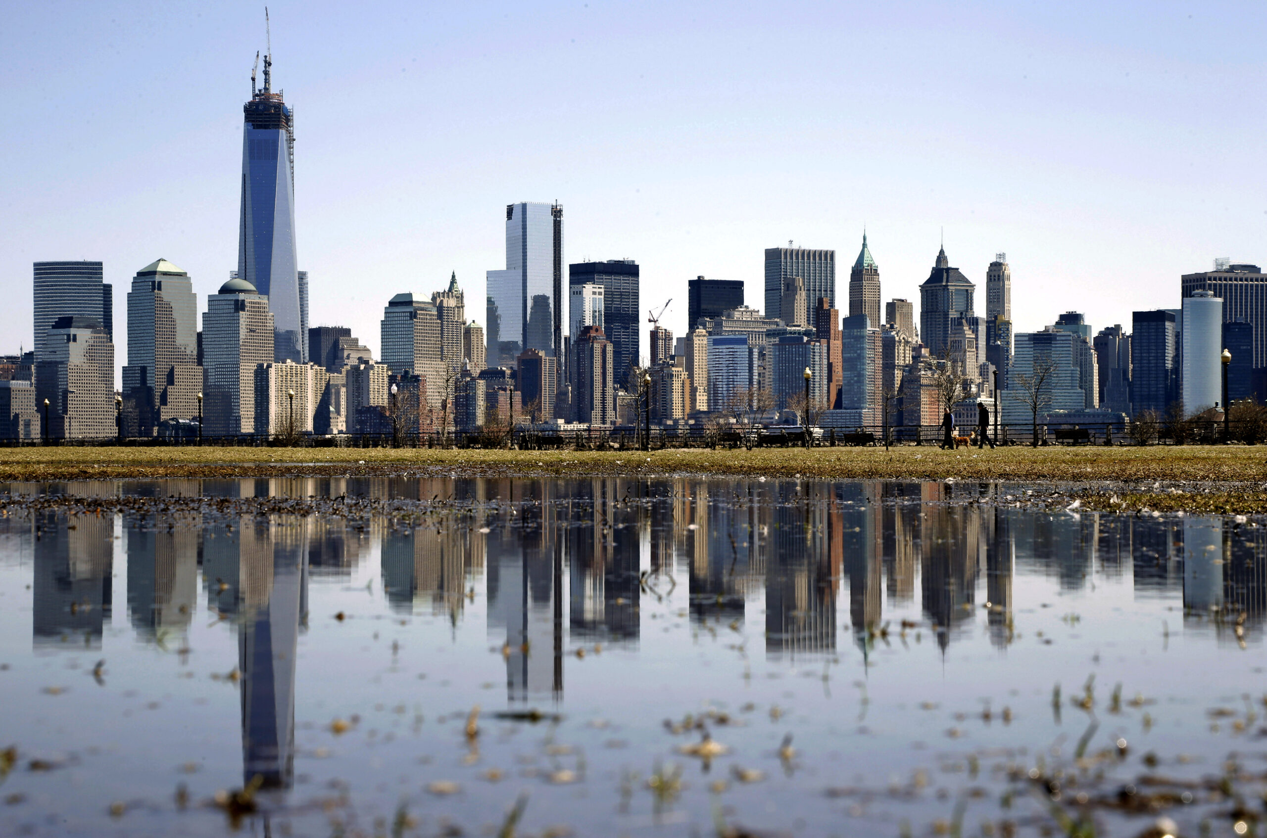 SAMUEL: How New York City handles deer problems